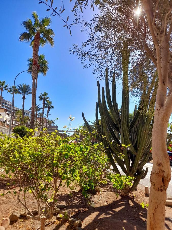 プラヤ・デル・クーラVista Bella - Planta Baja Al Lado De La Piscina - Ground Floor By The Poolアパートメント エクステリア 写真